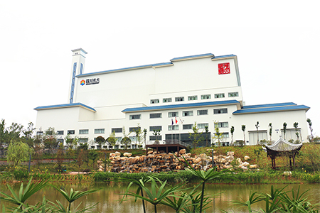 遂宁垃圾发电项目