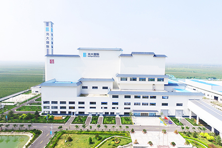 平度垃圾发电项目