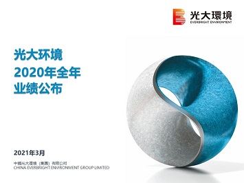 2020年全年业绩公布
