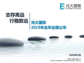 2019年全年业绩公布