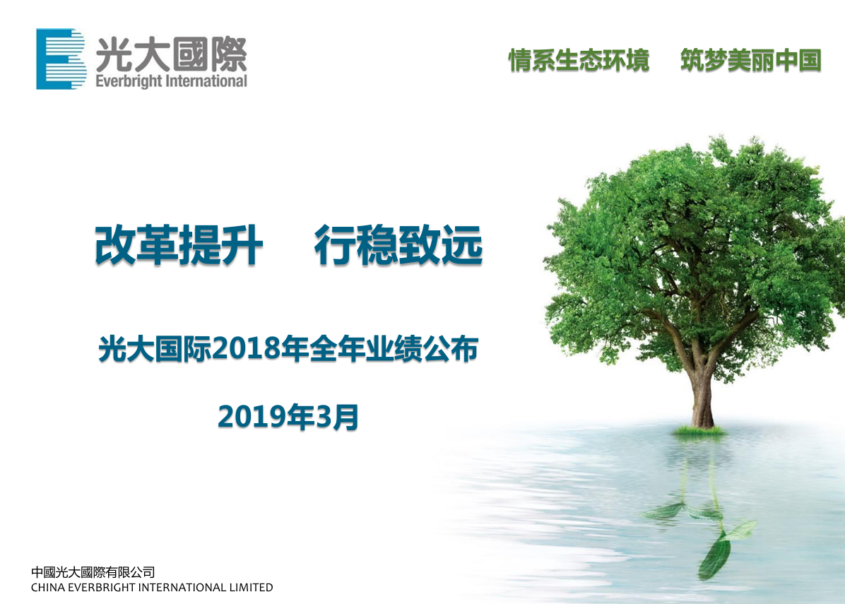 2018年全年业绩公布