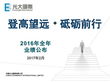 2016年全年业绩公布