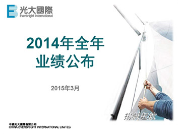2014年全年业绩公布