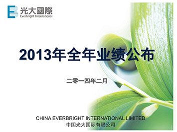 2013年全年业绩公布