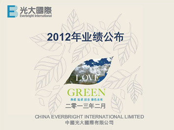 2012年全年业绩公布