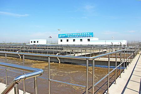 德州南运河污水处理项目