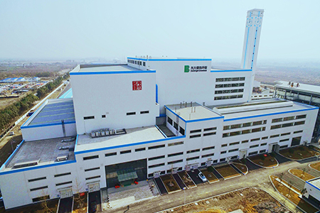 绵竹生物质及垃圾发电一体化项目（生物质）