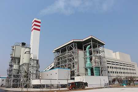 凤阳生物质及垃圾发电一体化项目