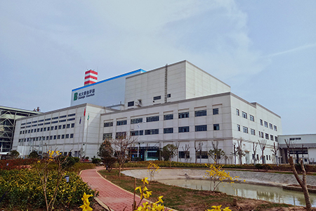 萧县生物质及垃圾发电一体化项目