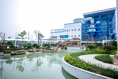 南谯生物质直燃发电项目