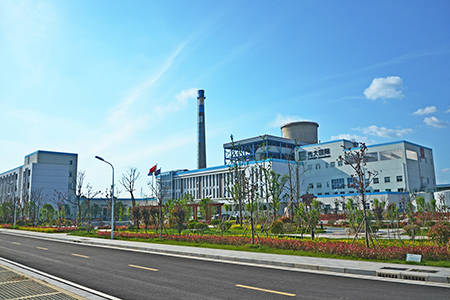 怀远生物质直燃发电项目