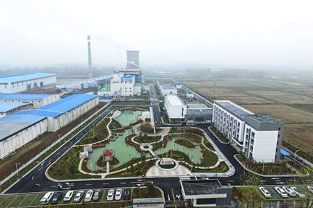 定远生物质直燃项目