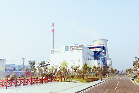 定远生物质直燃项目