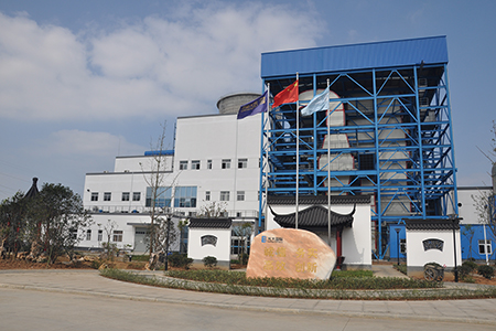 含山生物质直燃发电项目