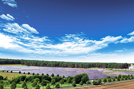 德国地面光伏发电项目