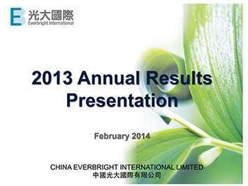 2013 Annual Results Announcement